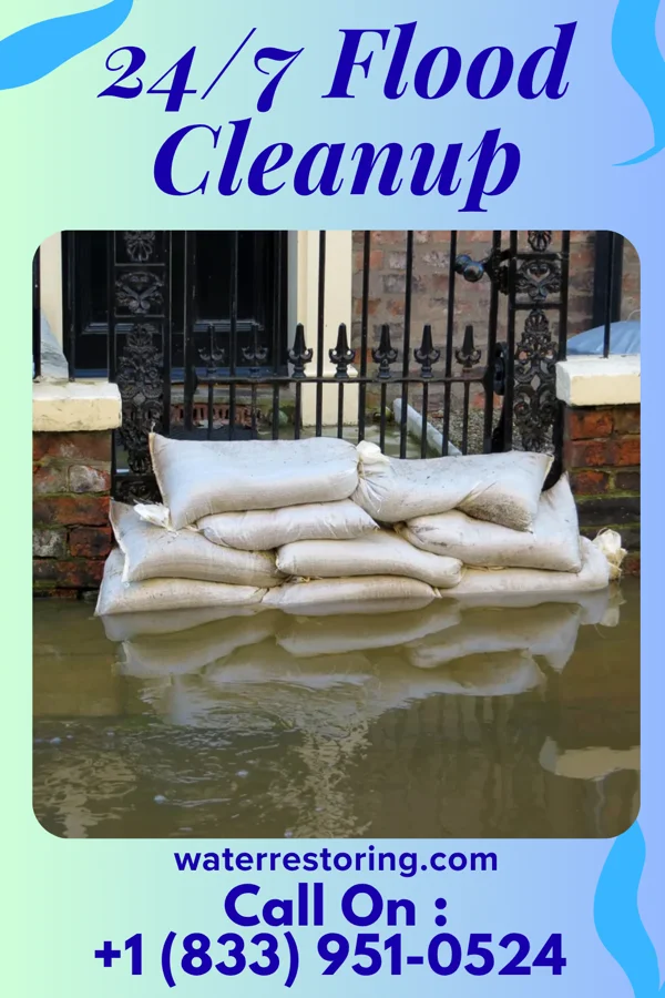 24/7 Flood Cleanup in Hackensack, MN