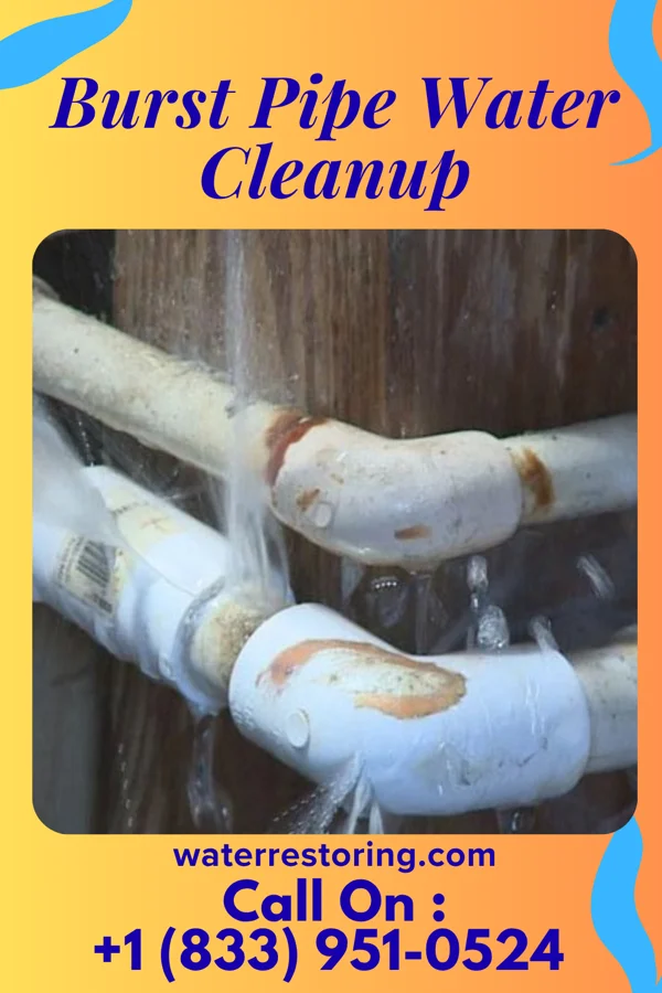 Burst Pipe Water Cleanup in Hackensack, MN