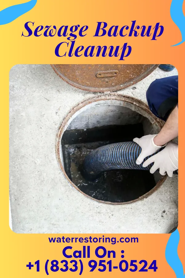 Sewage Backup Cleanup in Hackensack, MN